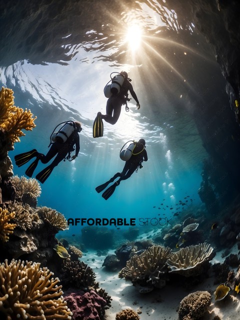 Three Divers Underwater in the Ocean