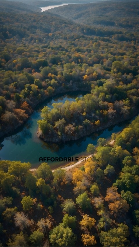 Aerial View of Autumn Forest and Meandering River