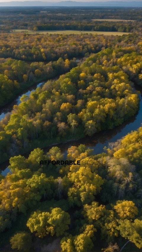 Autumnal Aerial View of Forest and Winding River