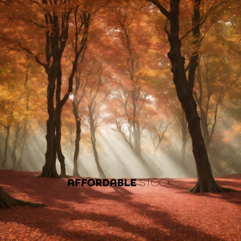 Autumn Forest with Sun Rays