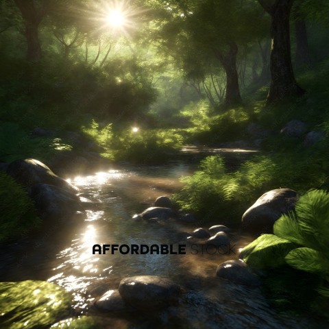 Sunlight Filtering Through Forest by Stream