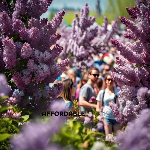 A group of people walking through a garden of purple flowers