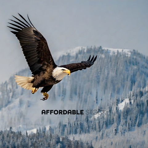 Eagle soaring over snowy mountain range