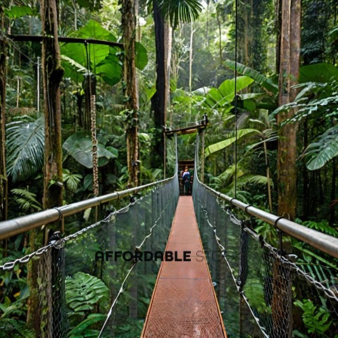 A suspension bridge in a jungle with people on it