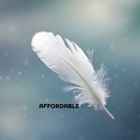 White Feather Floating in the Air