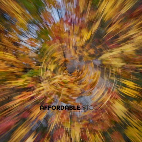 Blurry photo of autumn leaves