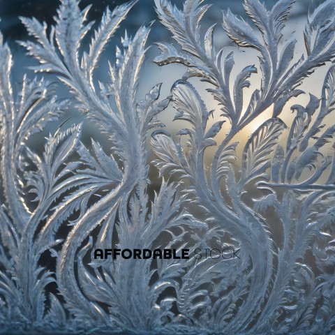 A frozen glass window with a leaf pattern