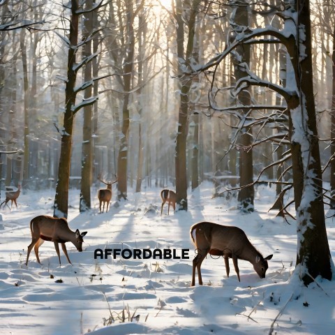 Deer grazing in a snowy forest