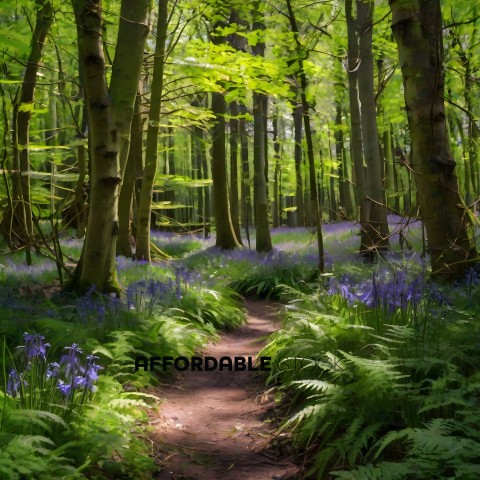 A pathway through a forest with blue flowers