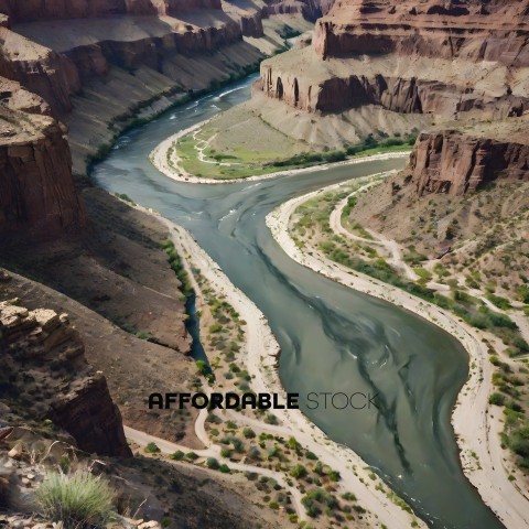 A river runs through a canyon with a rocky cliff in the background
