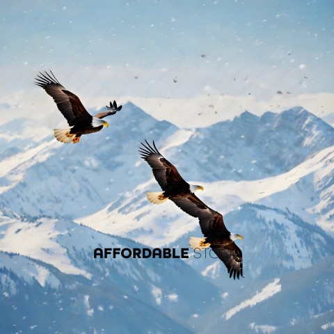 Two Eagles Soaring Over Snowy Mountains