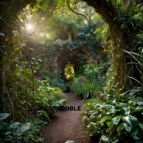 A pathway through a lush green garden