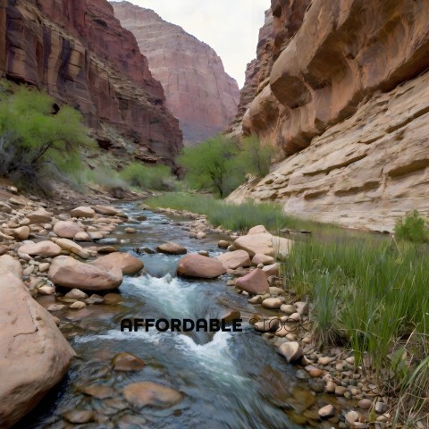A river runs through a rocky canyon