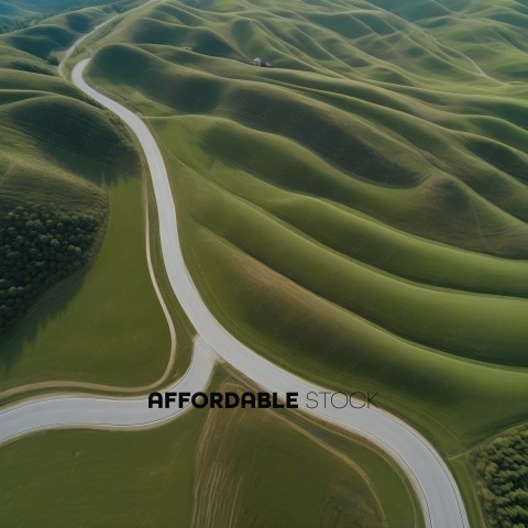 A road in the middle of a green landscape