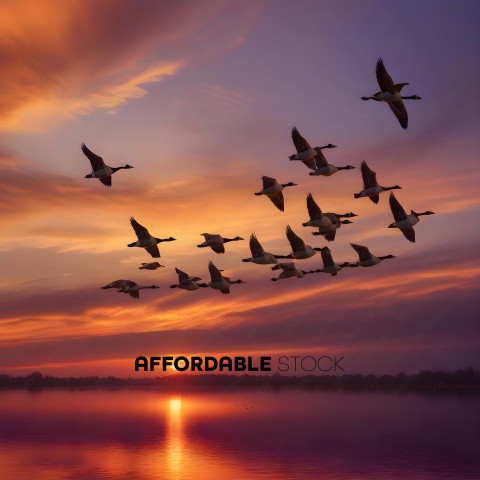 A flock of geese flying over a body of water at sunset
