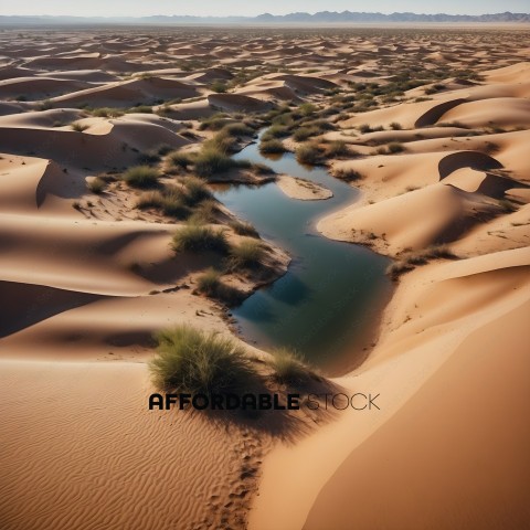 A view of a desert landscape with a water hole