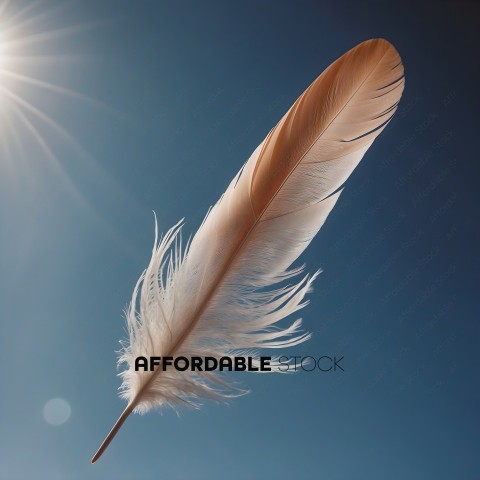 A feather in the sky