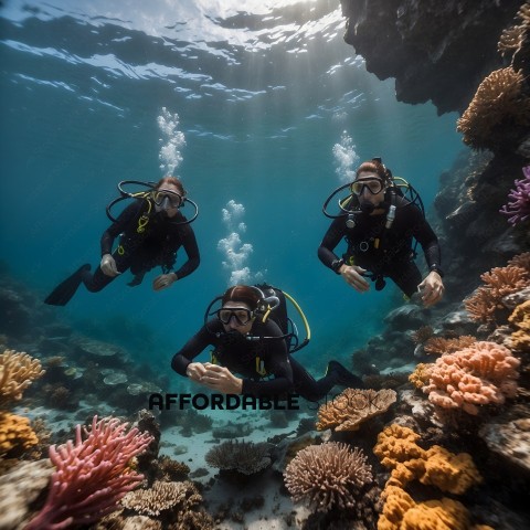 Three Divers Underwater with Coral and Seaweed